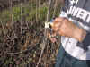 159-5957_IMG.JPG (97513 bytes)