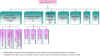 organi1.jpg (52245 bytes)